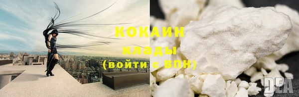 стаф Дмитровск
