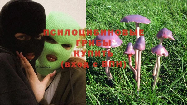 МДПВ Дмитров