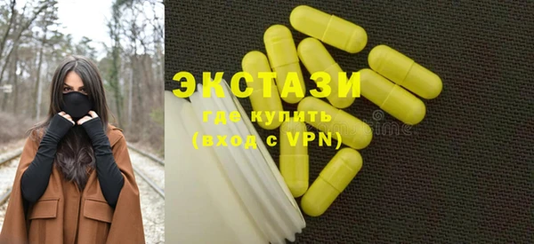 стаф Дмитровск