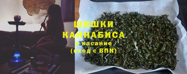 стаф Дмитровск