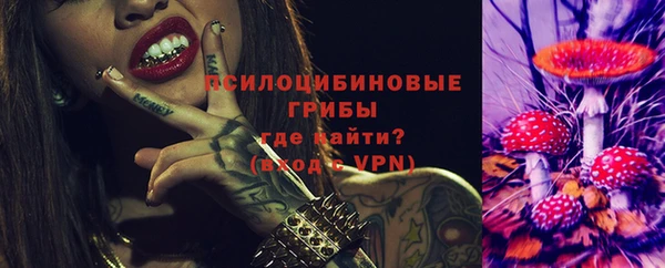 МДПВ Дмитров