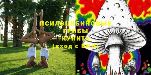 стаф Дмитровск