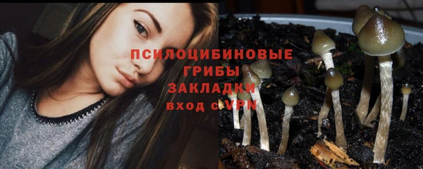МДПВ Дмитров