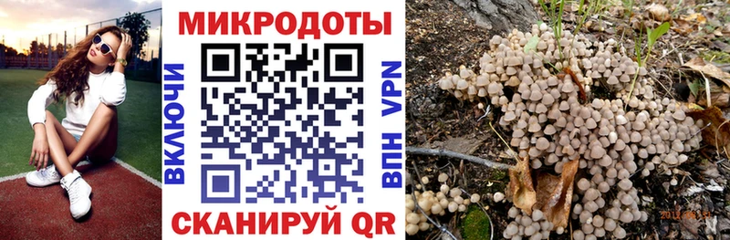 купить   Новый Уренгой  Псилоцибиновые грибы Magic Shrooms 